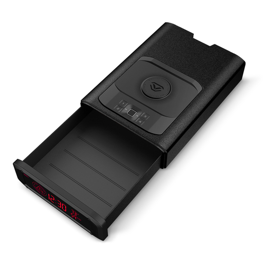 Vaultek DS2i Smart Station Safe
